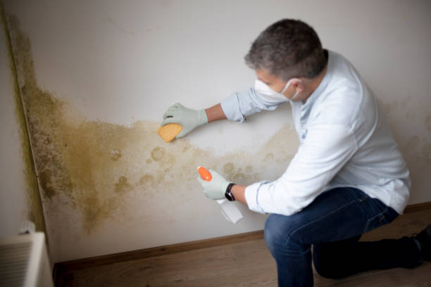 Mold Documentation for Insurance Claims in Fort Pierce North, FL